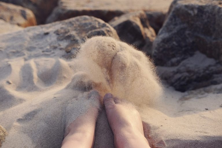 Which muscle is responsible for the flexion of the toes?
